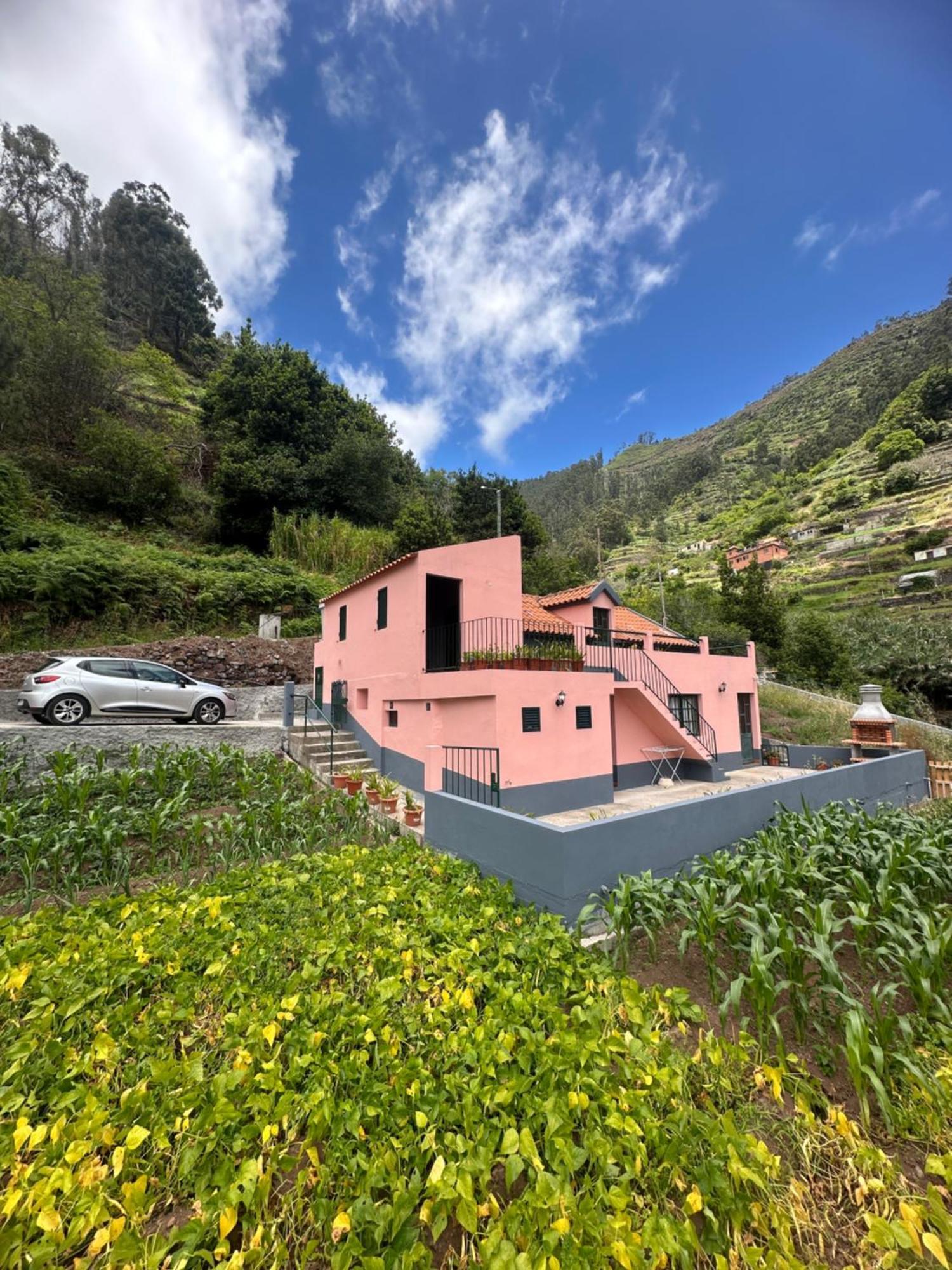 Casa Rosa Villa Ribeira Brava Eksteriør bilde