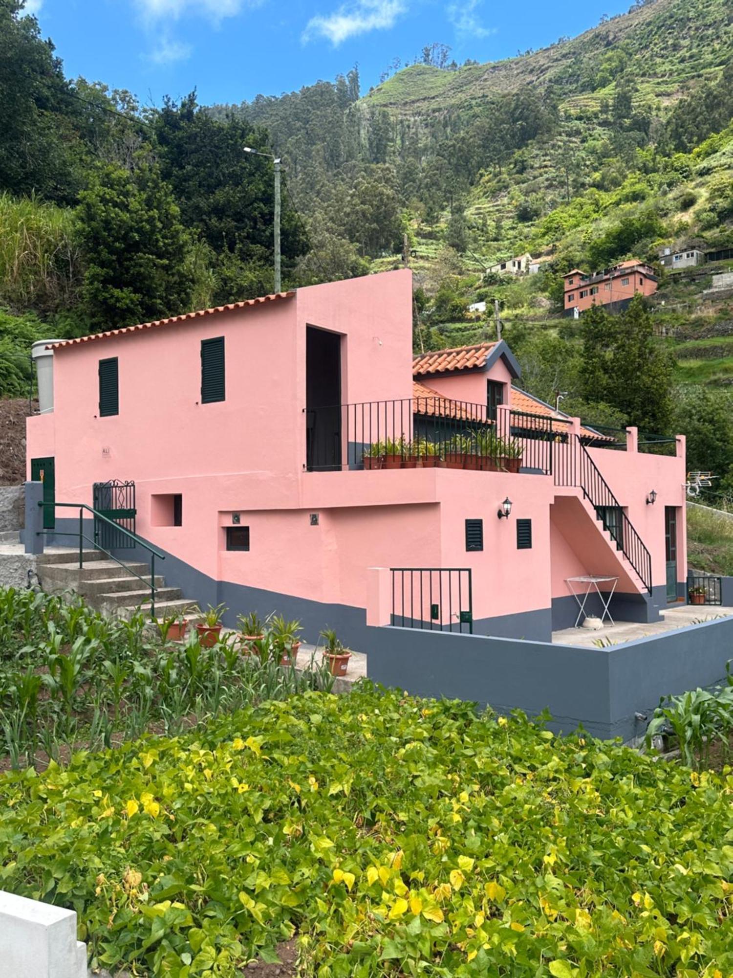 Casa Rosa Villa Ribeira Brava Eksteriør bilde