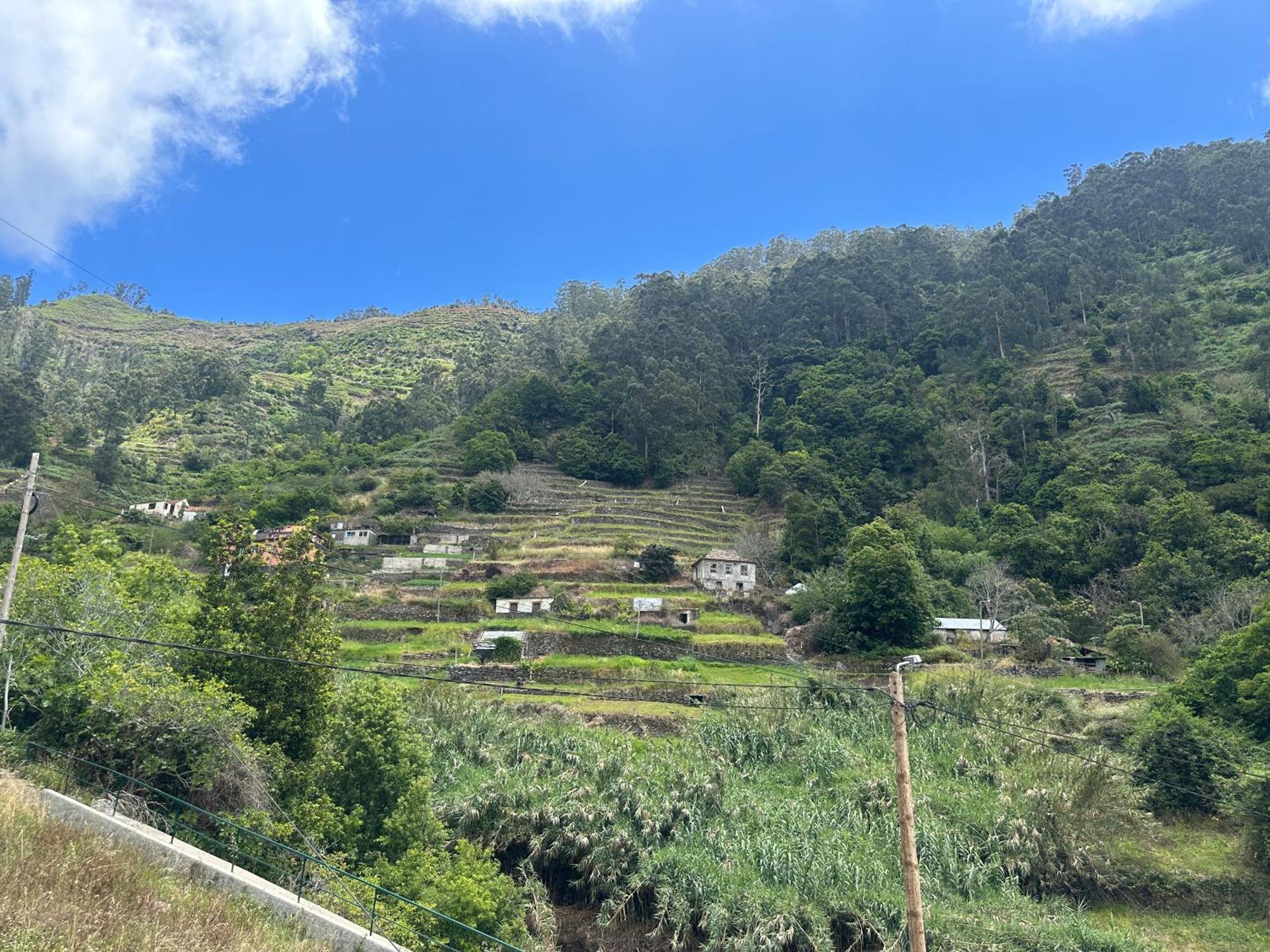 Casa Rosa Villa Ribeira Brava Eksteriør bilde